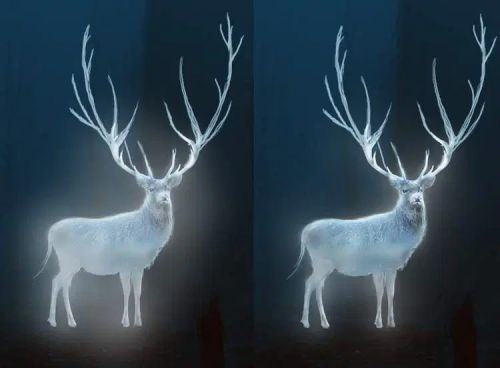 آموزش طراحی گوزن درخشان در فتوشاپ